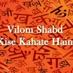 Vilom Shabd Kise Kahate Hain
